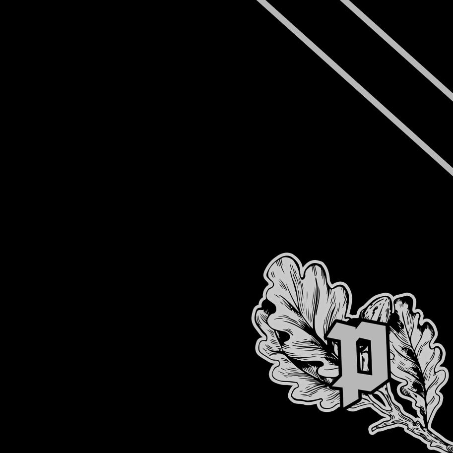 Die Lunikoff Verschwörung - Die schwarze Single