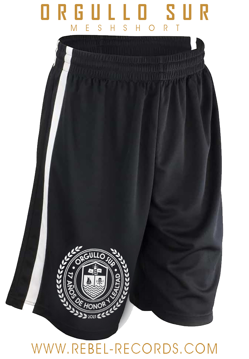 ORGULLO SUR - 17 JAHRE MESH SHORT