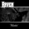 Raven - Waisenkind / schwarz